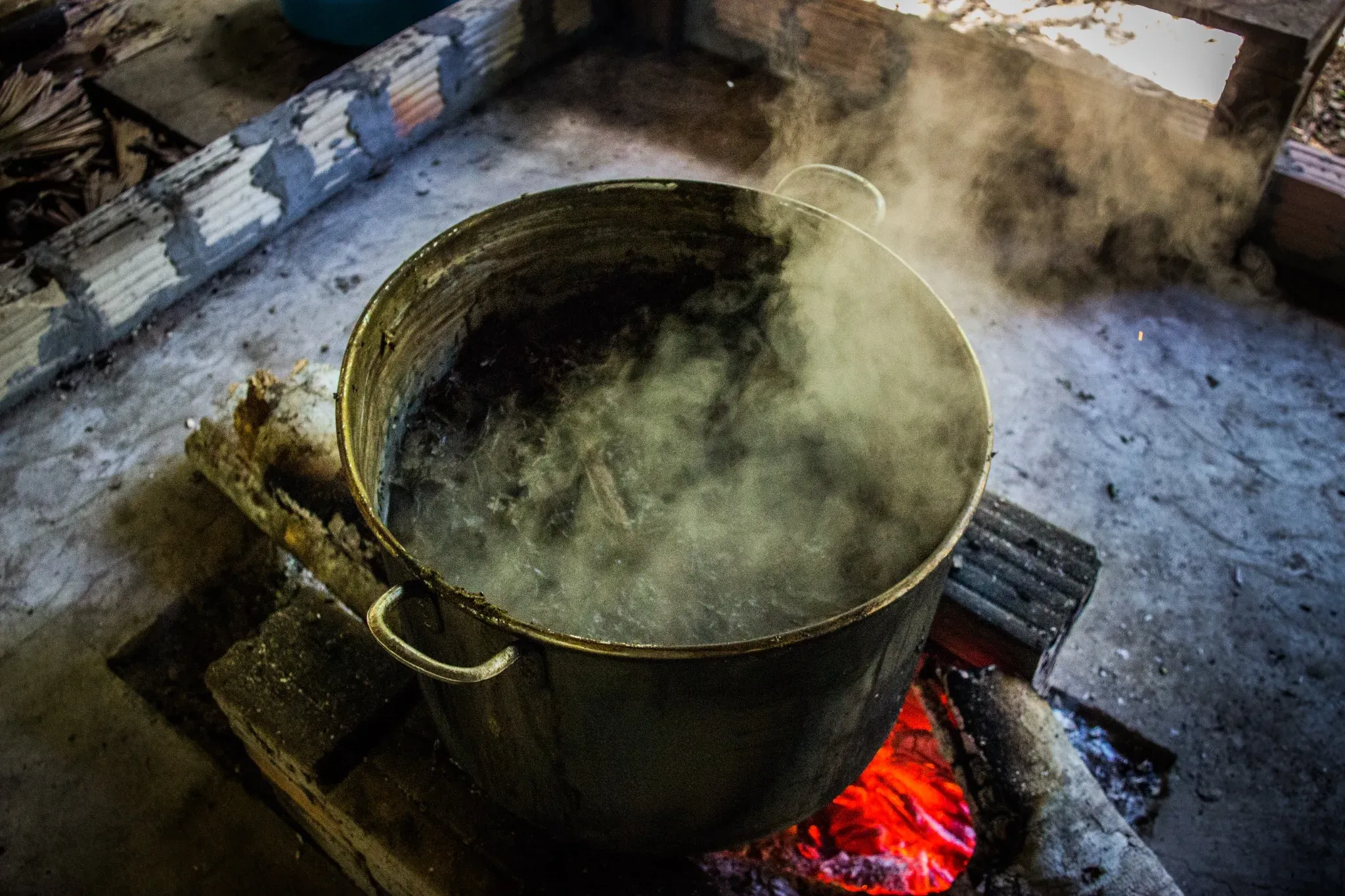 A bowl of ayahuasca in the brewing process, the central element of any ayahuasca retreat. 