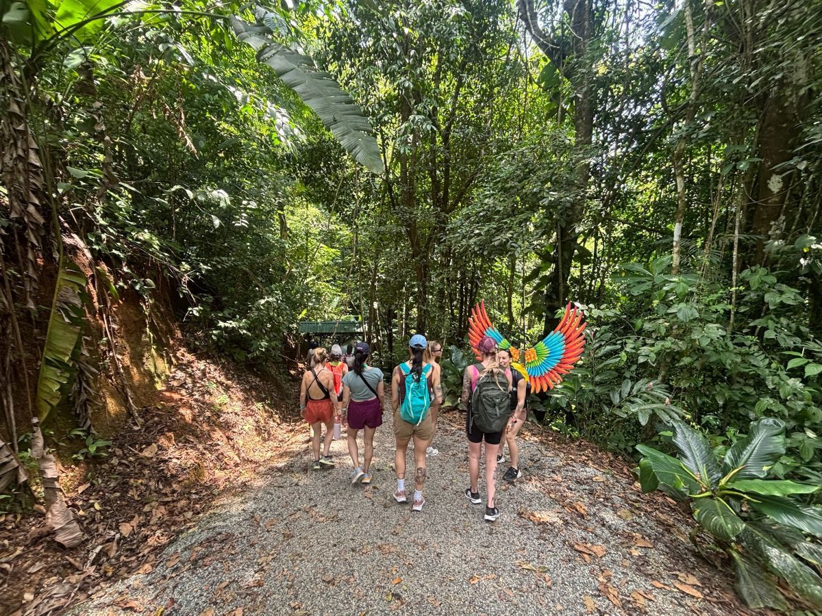 enhance your Costa Rica spiritual retreat: Nauyaca waterfall hike.