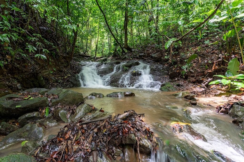 enhance your costa rica spiritual retreat: forest bathing in natural swimming holes