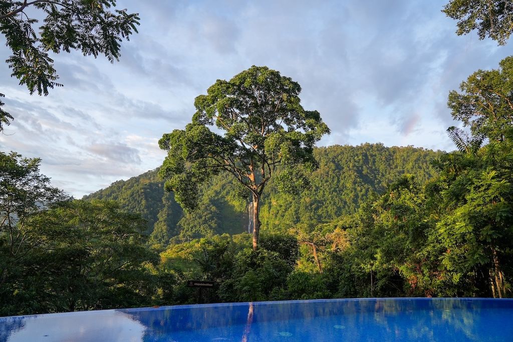 vajra jahra infinity pool overlooking jungle